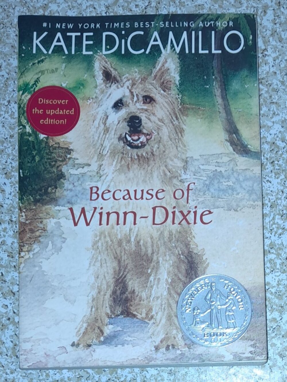Children's Chapter Book: Because of Winn-Dixie by Kate DiCamillo
